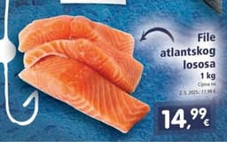 File atlantskog lososa 1 kg