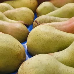 Kruška Abata 1 kg