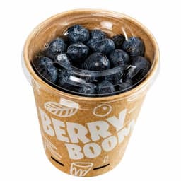 Borovnice . 500 g